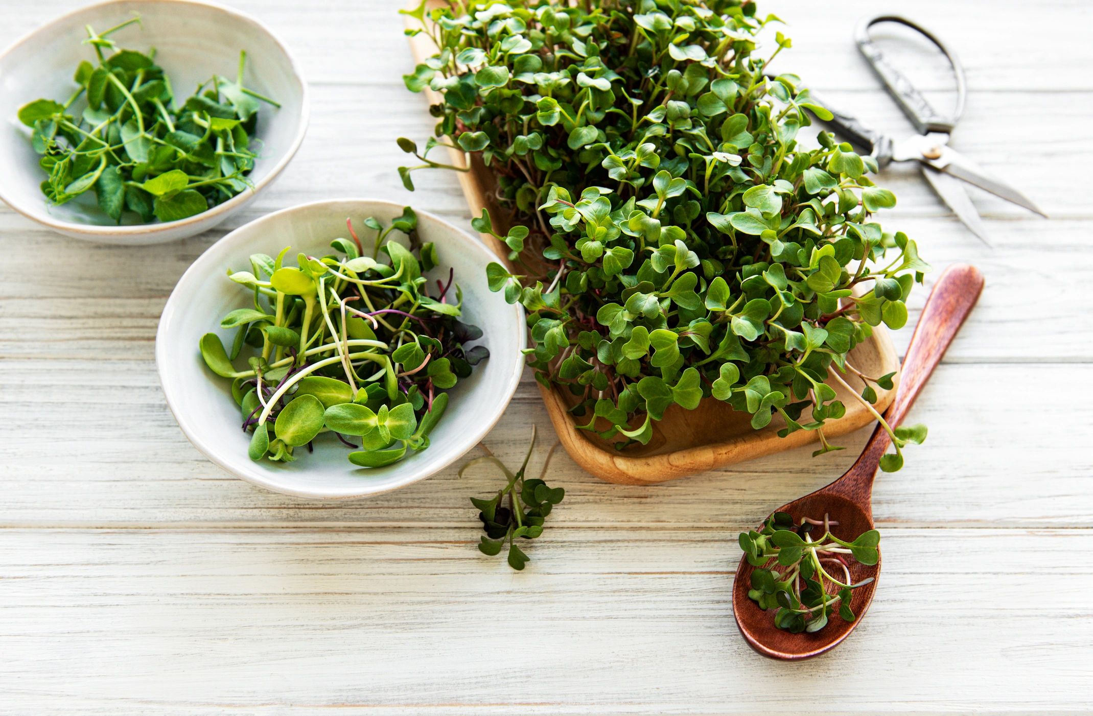 Leafy Greens
